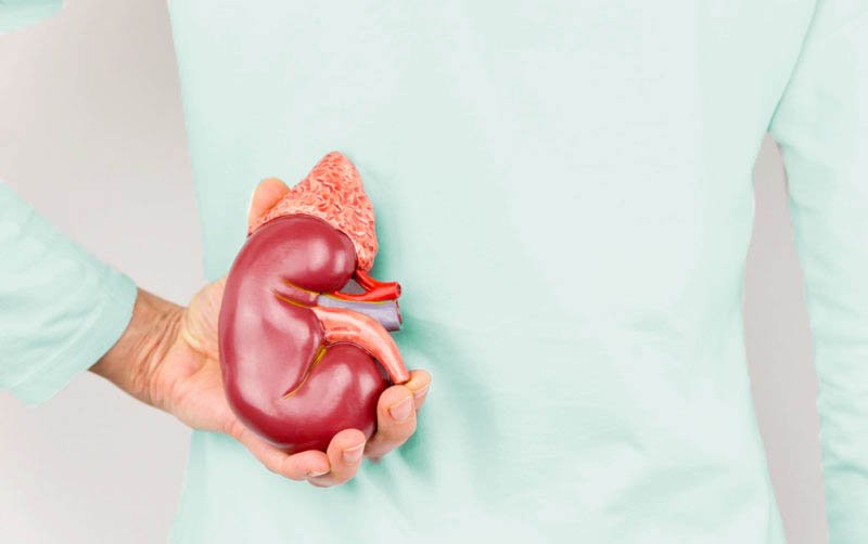 urologist in New York City