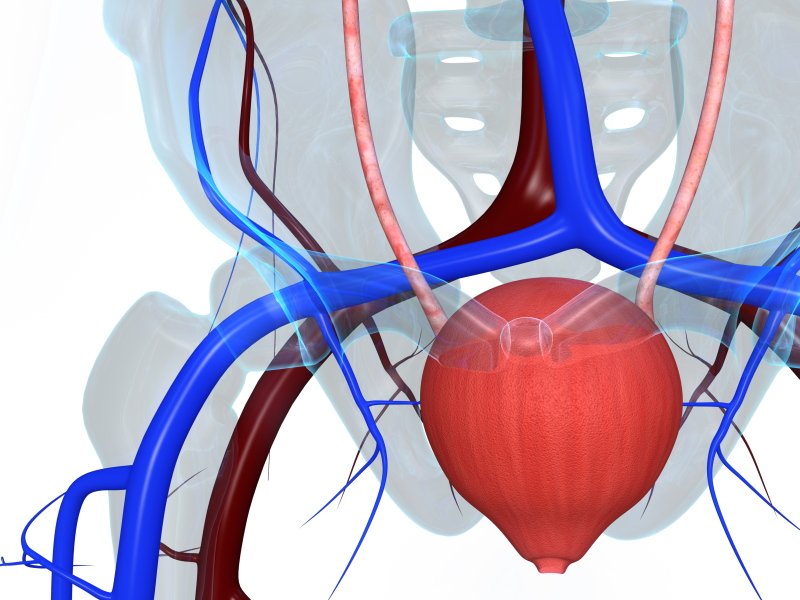 urology doctor NYC