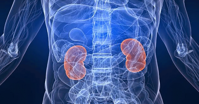 urologist new york city