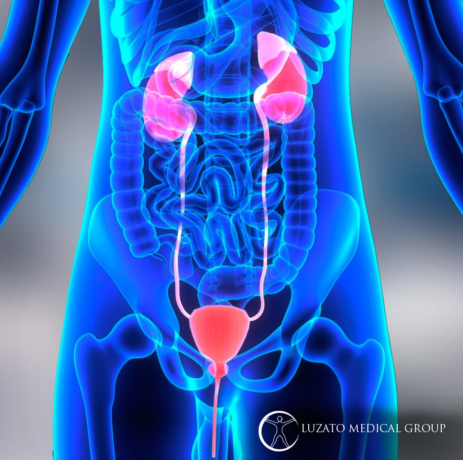 urologist new york city