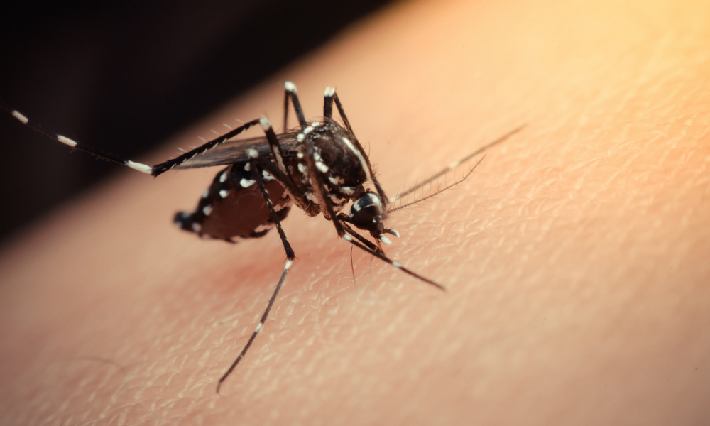 erectile dysfunction doctor NYC